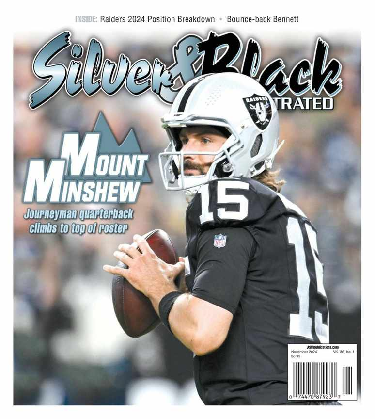 Silver & Black Illustrated - Image 2